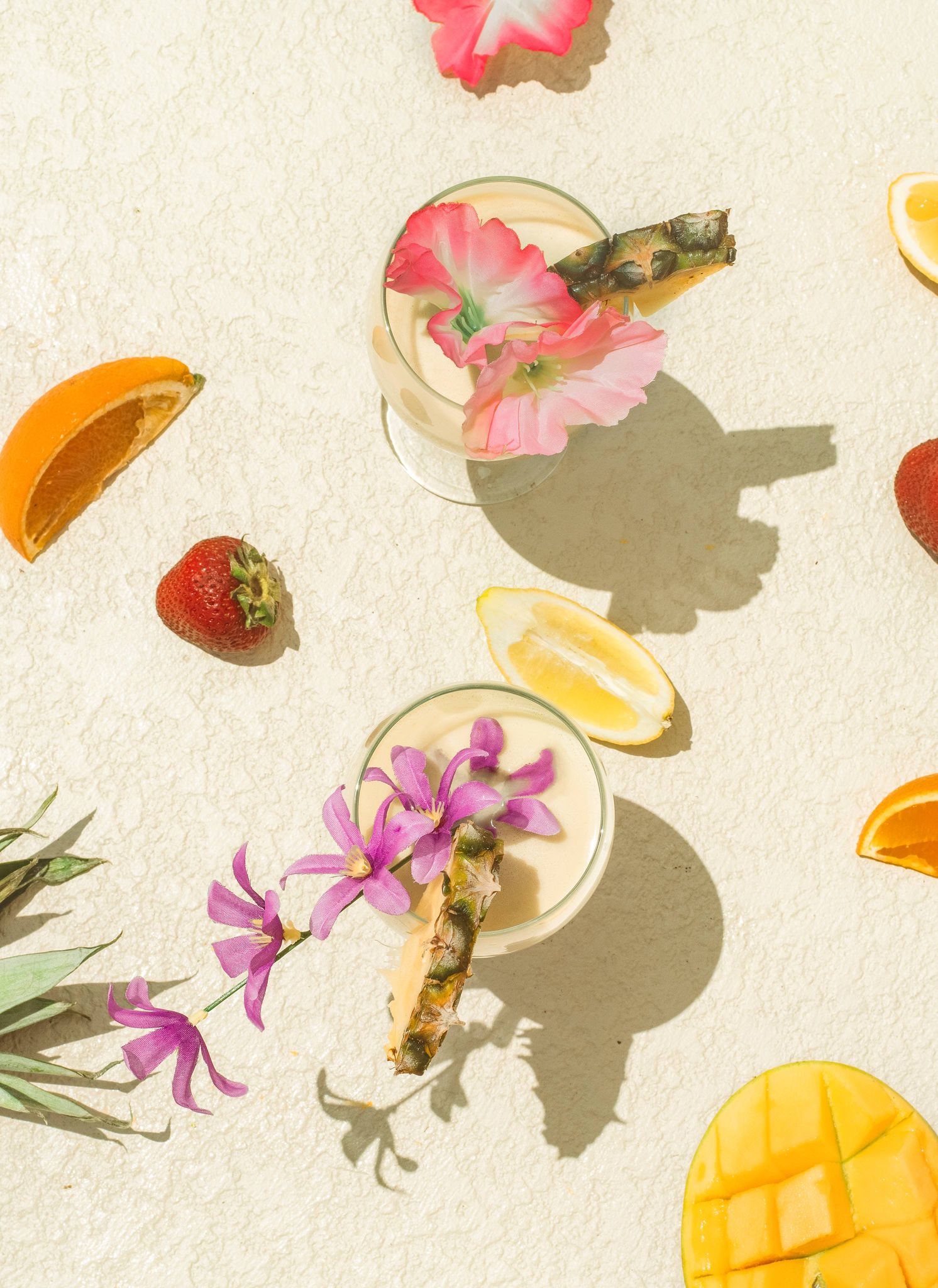 205538646 801996407146345 7435538431763279790 n