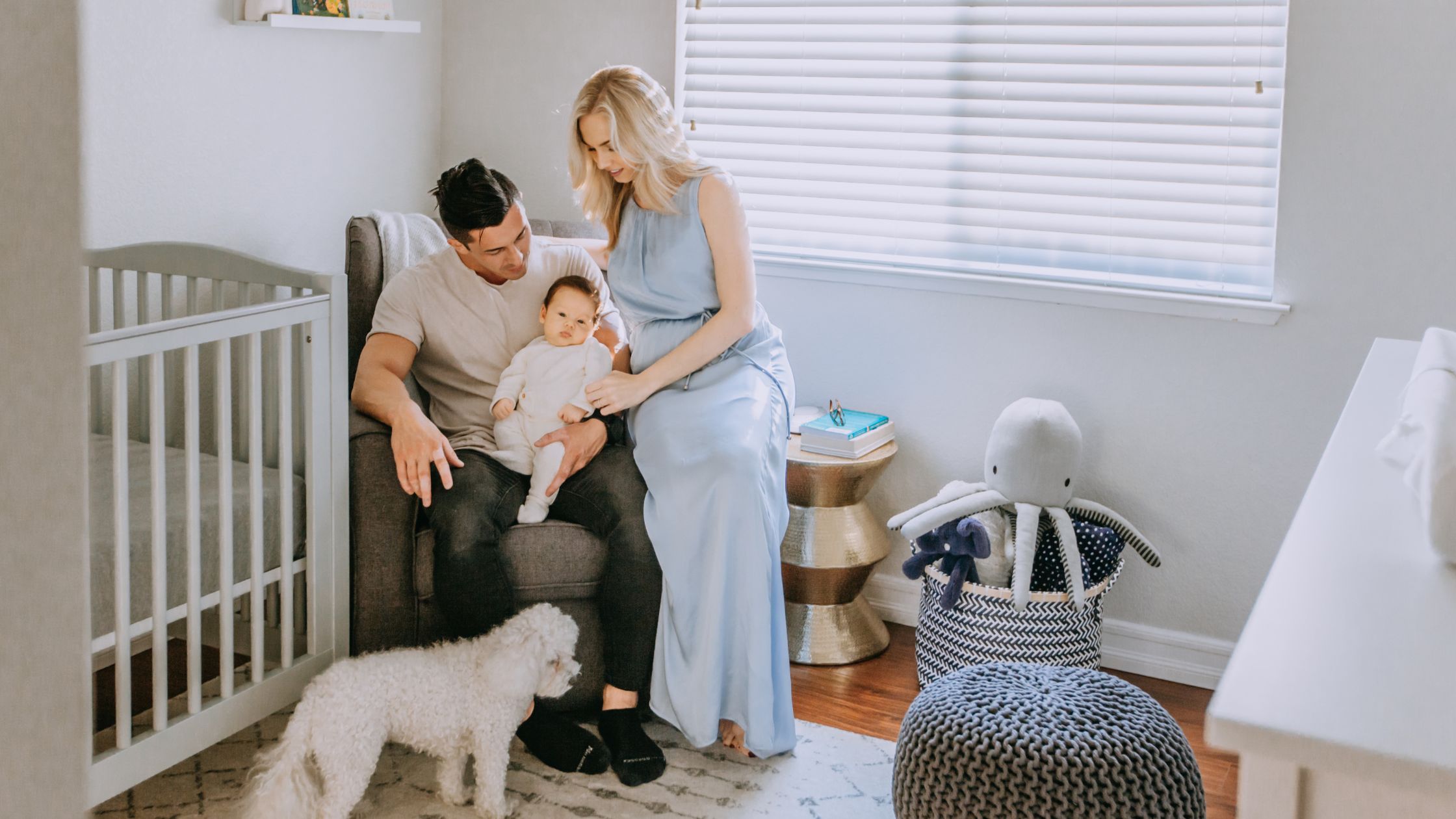 Air Purification Tips