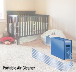 Portable Air Cleaner