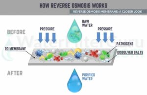 Reverse Osmosis
