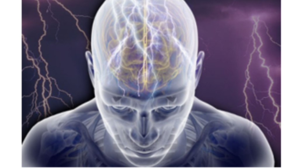 Do Our Bodies Have Electrical Processes?