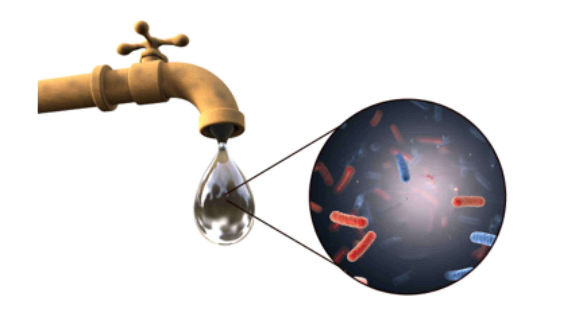 Is Tap Water Safe To Drink? What Options Exist To Improve The Quality Of The Water In My Home?