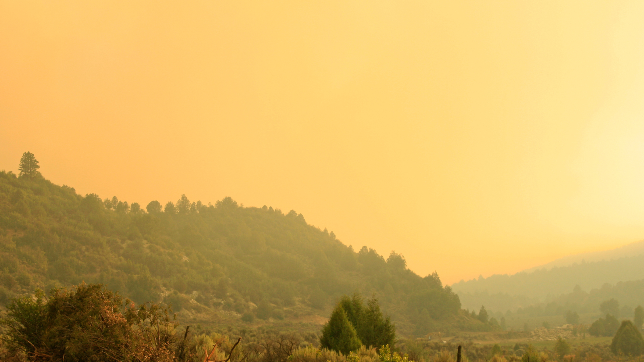 WHAT IS WILDFIRE SMOKE AND WHY WE SHOULD BE CONCERNED